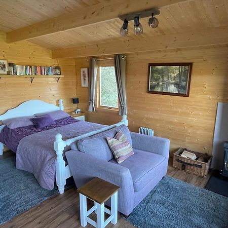 Cosy Cabin In Annie'S Meadow West Meon Exterior photo