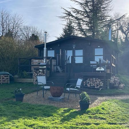 Cosy Cabin In Annie'S Meadow West Meon Exterior photo
